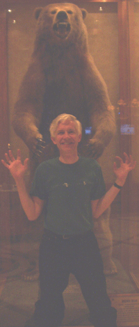 Grizzly bear.