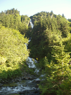 Juneau Hike Excursion