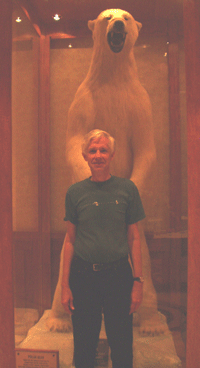 Polar Bear.