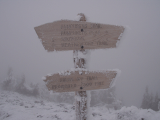 Sign on the saddle