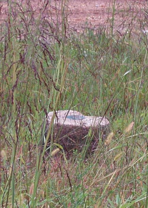 Mississippi, Woodall Mountain, 806 ft, 9/22/03